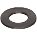 Nylatron Flat Washer, Inch
