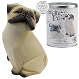 My Pedigree Pals Figurine in Money Box Tin - Pug