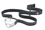Black Diamond Ion LED Headlamp (Silver)