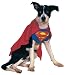 Search : Superman Dog Costume