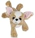 Webkinz Chihuahua