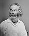 Walt Whitman Photo Famous American Writers Photos 8x10