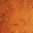 Cinnamon Powder- Saigon by ChefShop