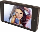 PASEN Digital Audio&AV Player Youtubeからデータ変換せずに動画再生可能 F13
