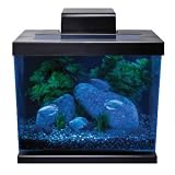 Marineland Classic Aquarium Kit, 4 Gallon 412%2Be8Cg3sL. SL160 Marineland Classic Aquarium Kit, 4 Gallon