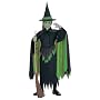 Rubies Costume Wizard of Oz Child's Wicked Witch Costume, Large