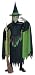 Rubies Costume Wizard of Oz Child's Wicked Witch Costume, Large