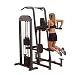 Body Solid Weight-Assist Knee Raise