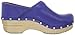 Dansko Women's Perfed Pro Clog