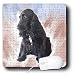 cocker_spaniel15cocker spaniel - Dogs Cocker Spaniel Black Cocker Spaniel Mouse Pads