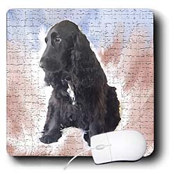 image link -  - B002I85WG4