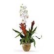 Double Bromeliad/Orchid Combo Silk Orchid Arrangement