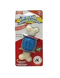 Nylabone Double Action Spiky Ball Bone Dental Chew