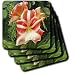 Candy Stripe - Photography Flowers - Set Of 8 Ceramic Tile Coasters