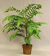 3' New Leather Fern Bush