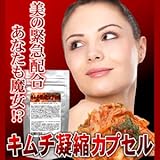 �y���e�卑�E�؍����I�z�L���`�Ïk�J�v�Z���y�����B�̂Q�Q���Řb��I�z