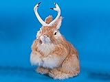 Jackalope Bunny Rabbit Lifelike Decoration Model Collectible Figurine
