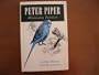 Peter Piper, missionary parakeet,