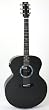 RainSong JM1000 Jumbo Acoustic-Electric Guitar