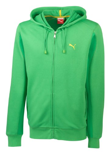 PUMA Herren Kapuzen-Sweat-Jacke Graphic Story 2 Hooded, island green, XXL, 815398 11 Preisvergleich