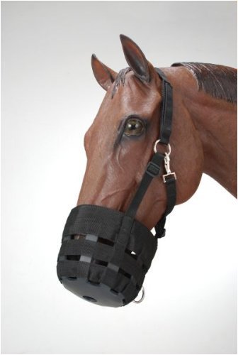 Muzzle Padded Noseband Grazing Muzzle with Halter