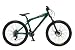 08 Ruckus UF 26 Bike