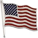 14K White Gold Enamel American Flag Pin