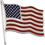 14k White Gold Enamel American Flag Pin