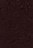 Cover for 9781418548650