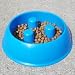 Kitchen & Housewares : brake-fast Dog Food Bowl (5-cup blue bowl - inside dimension: 7.5" x 2.5" high)