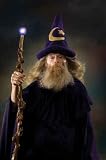 Wizard Portrait - 72"H x 48"W - Peel and Stick Wall Decal by Wallmonkeys