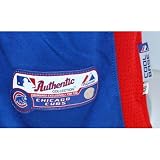 Tyler Colvin Jersey - Chicago Cubs 2011 Game Worn #21 Blue Alternate BP Cool Base Jersey (48) (FJ588753)
