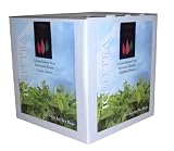 Eden Grove Lemongrass, 48-Count Teabags (Pack of 2)