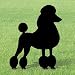 Pattern for Poodle