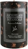 Archipelago Botanicals Excursion Collection Candle Pillar ( 3 in L x 2 in W ) (Duo Pillars) Havana