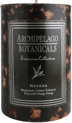 Archipelago Botanicals Excursion Collection Candle Pillar ( 3 in L x 2 in W ) (Duo Pillars) Havana