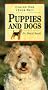 Caring for Your Pet Puppies and Dogs