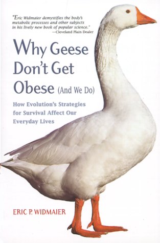 Image of: Why Geese Don't Get Obese (And We Do)
