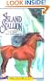Island Stallion