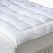 2” Framed Feather Bed