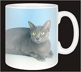 Review Advanta  / JAPANESE KORAT Coffee Mug