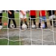 Wallmonkeys Peel Stick Wall Decals