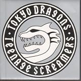 TEENAGE SCREAMER 7 INCH (7" 45) UK ISLAND 2004