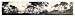 Historic Cypress Point Monterey, California, c. 1907, Panorama Photo Poster Print (M)