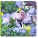 Be Happy �⍇����