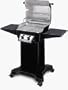Ducane 13002101 688-Square-Inch 2-Burner Propane Gas Grill, Black