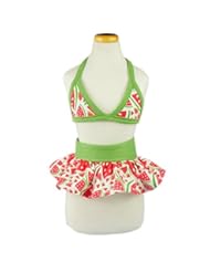 Pet Products: Fitwarm Cute Watermelon Pet Dog Bikini Swimsuit Bathing Dress Clothes - Red - X-small - Fitwarm