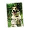 adopt an adult shelter dog
