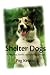 Shelter Dogs: Amazing Stories of Adopted Strays by Peg Kehret