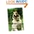 Shelter Dogs: Amazing Stories of Adopted Strays